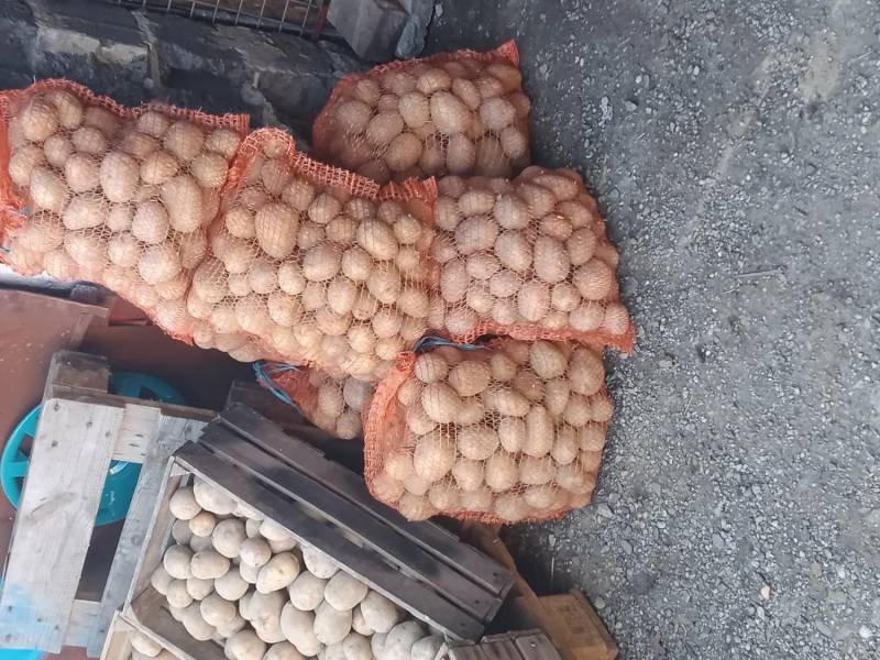 ox_ziemniaki-jadalne-gala-juz-na-zime-z-transportem-w-cenie-do-25-km