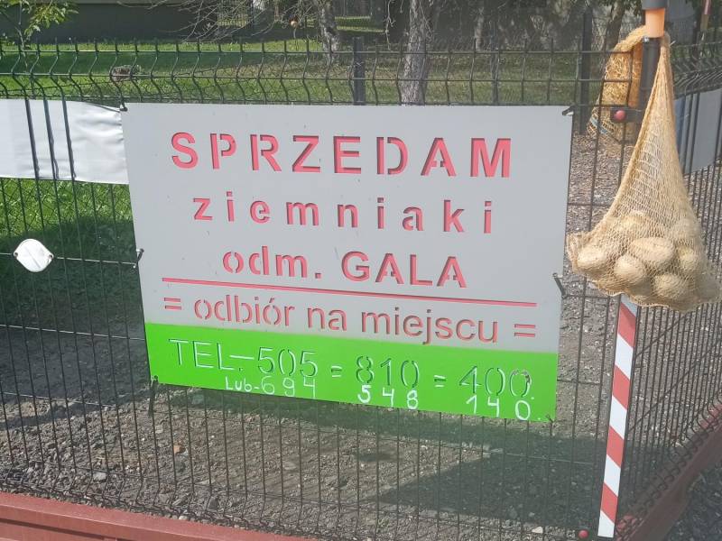 ox_ziemniaki-jadalne-odm-gala-transport-w-cenie-zakupu-minimum-200-kg