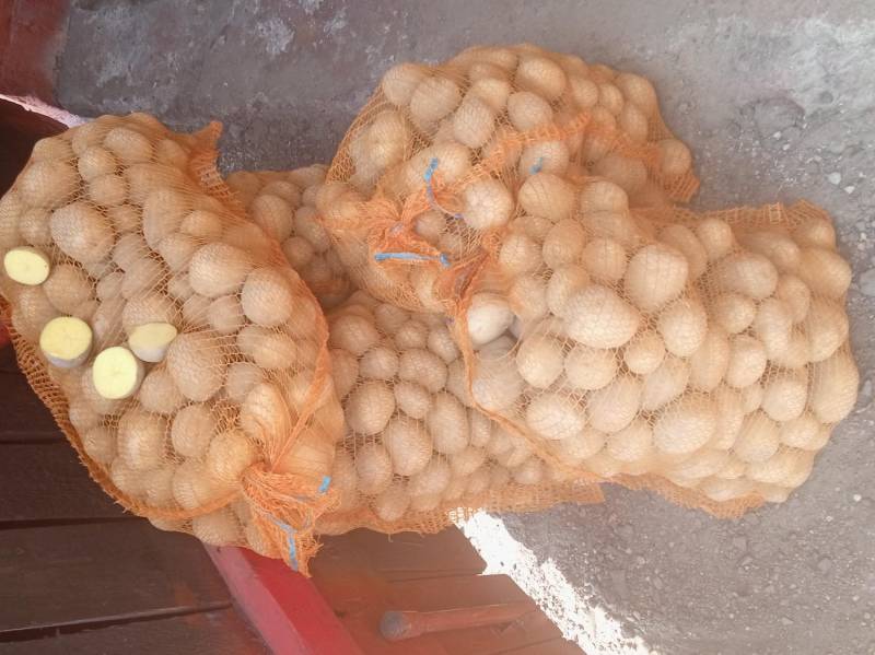 ox_na-zime-ziemniaki-odm-gala-transport-w-cenie-zakupu-minimum-200-kg