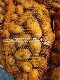 ox_ziemniaki-jadalne-odm-queen-anna-pakowane-po-15-kg-mozliwy-dowoz