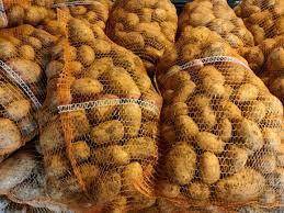 ox_ziemniaki-jadalne-odm-queen-anna-pakowane-po-15-kg-mozliwy-dowoz