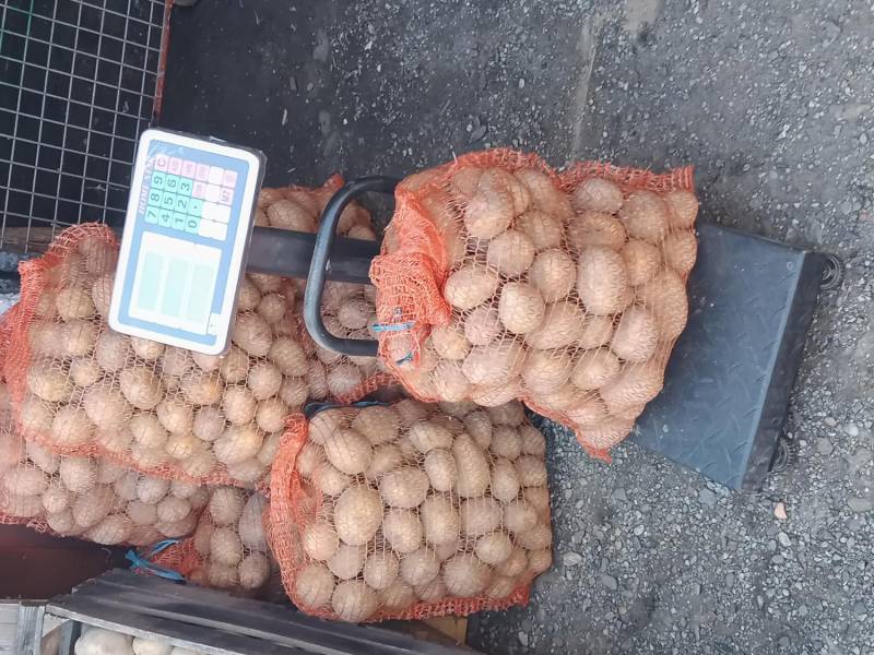 ox_ziemniaki-jadalne-na-zimeodm-gala-z-transportem-do-25-km-w-cenie