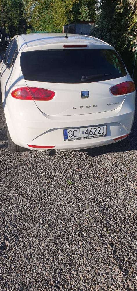 ox_seat-leon-2012