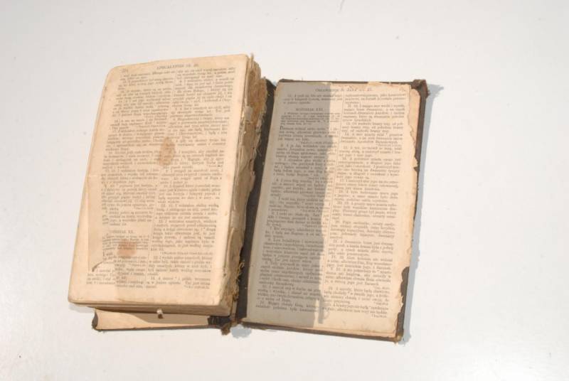 ox_biblija-swieta-pismo-swiete-starego-i-nowego-1889-r