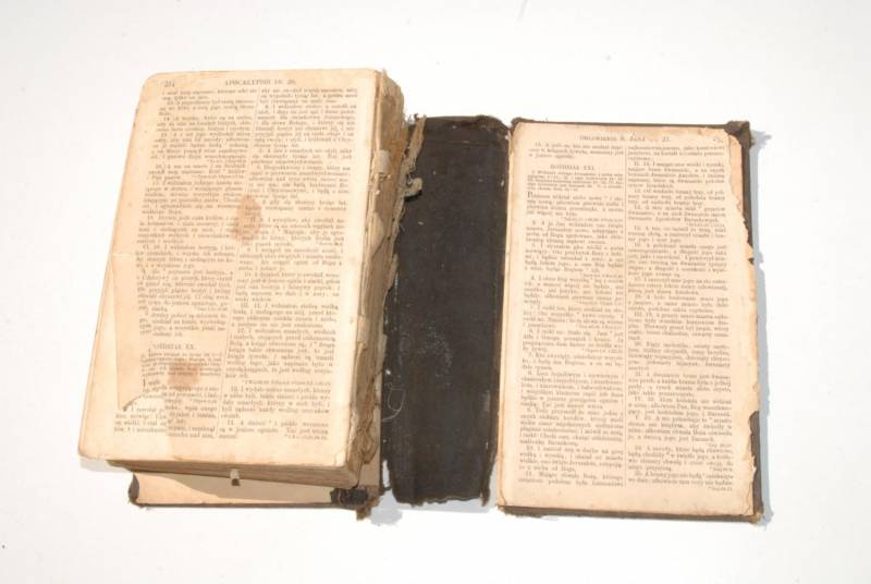 ox_biblija-swieta-pismo-swiete-starego-i-nowego-1889-r