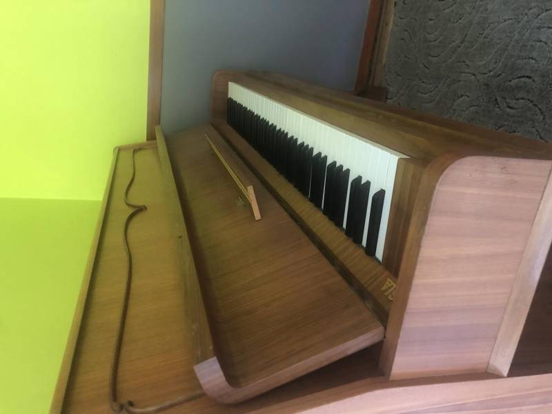 ox_pianino-calisia