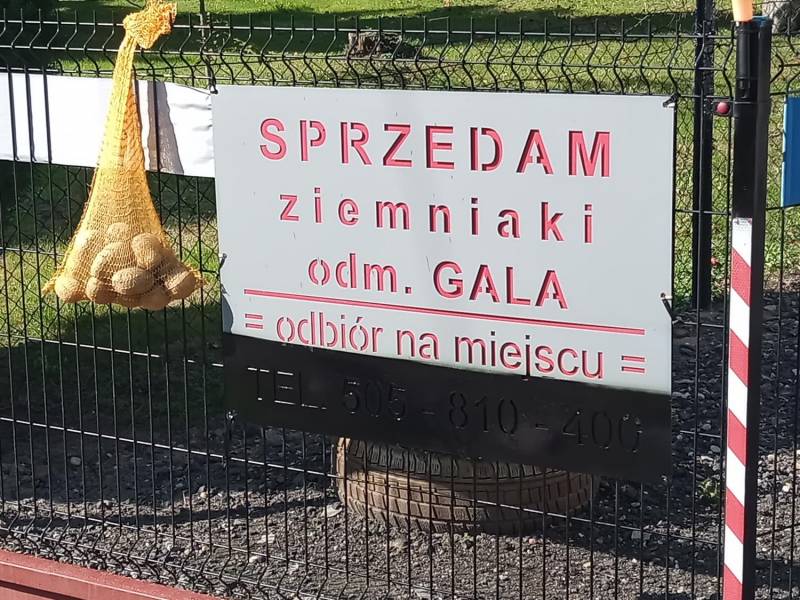 ox_ziemniaki-jadalne-gala-na-zime-mozliwy-transport-tylko-do-25-km