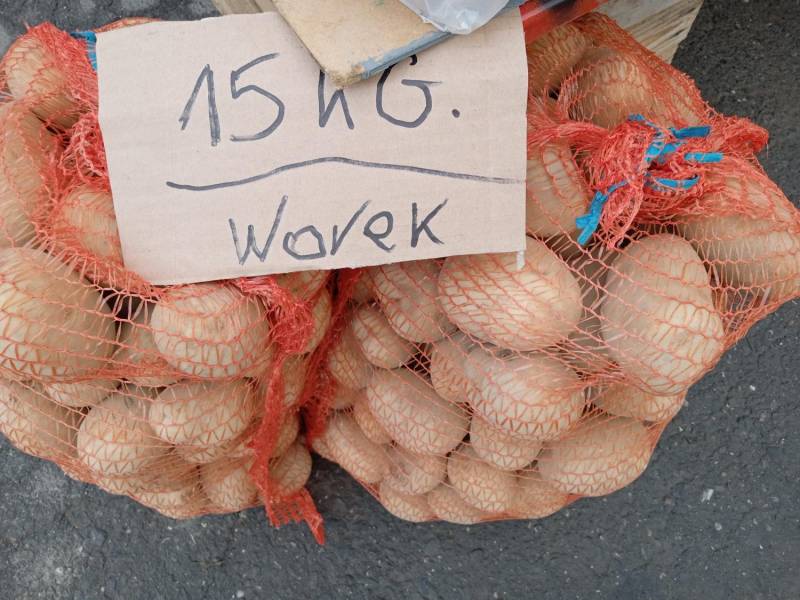 ox_ziemniaki-jadalne-z-przydomowej-dzialki-50-ar-odm-gala-na-zime