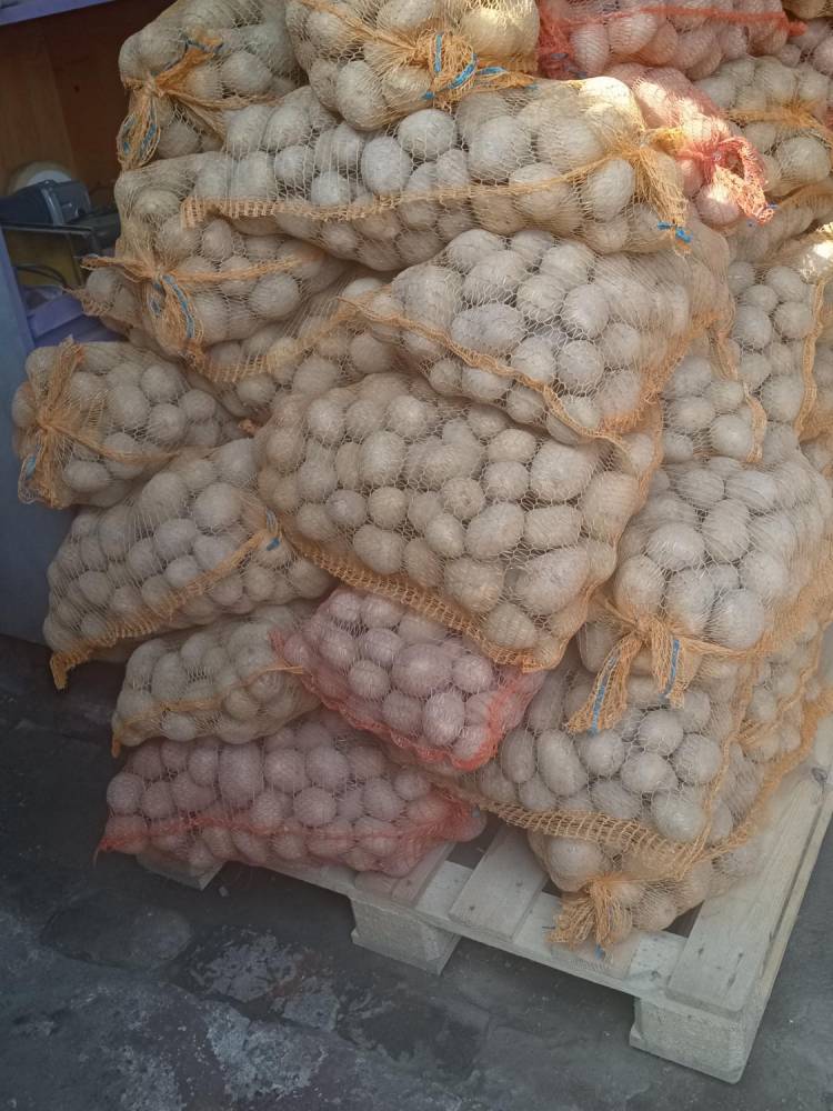 ox_ziemniaki-swojskie-odm-gala-juz-na-zime-z-mojego-malego-gospodarstwa