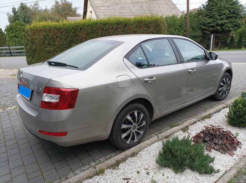 ox_skoda-octavia-iii-14-tsi-benzyna-2013-krajowa-134-tys-km
