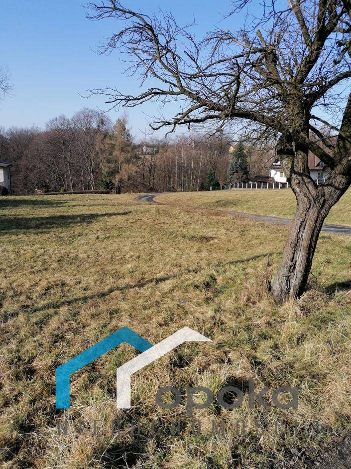 ox_dzialka-budowlana-1150-m2-cieszyn-nowa-cena-i-opoka-nieruchomosci