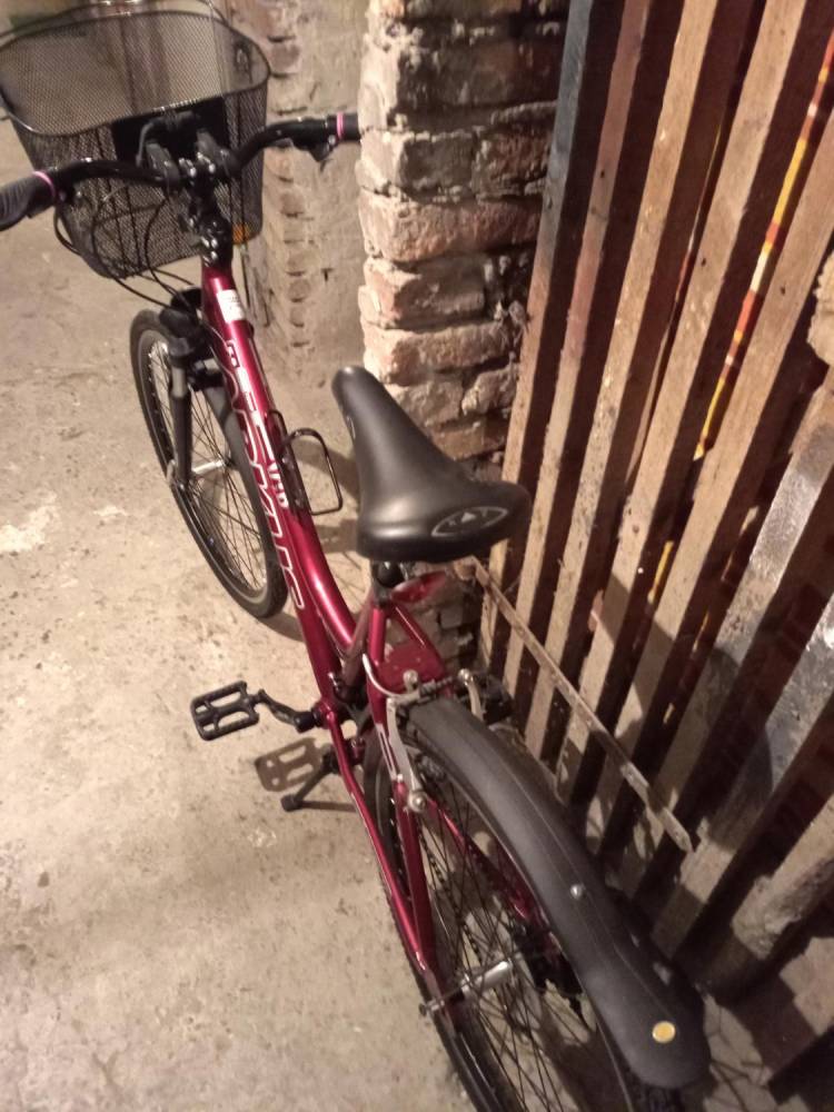 ox_sprzedam-rower-damski
