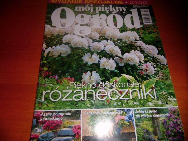 ox_gazety-roczniki-moj-piekny-ogrod-kwietnik-itd
