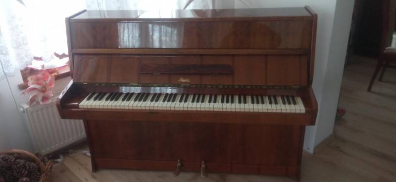 ox_pianino