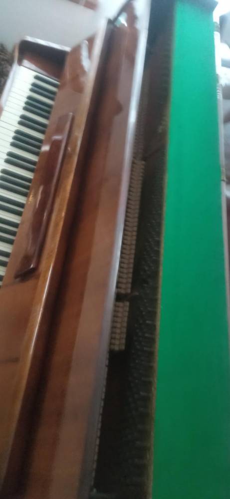ox_pianino