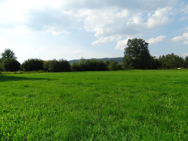 ox_klimatyczna-dzialka-w-kozakowicach-gornych