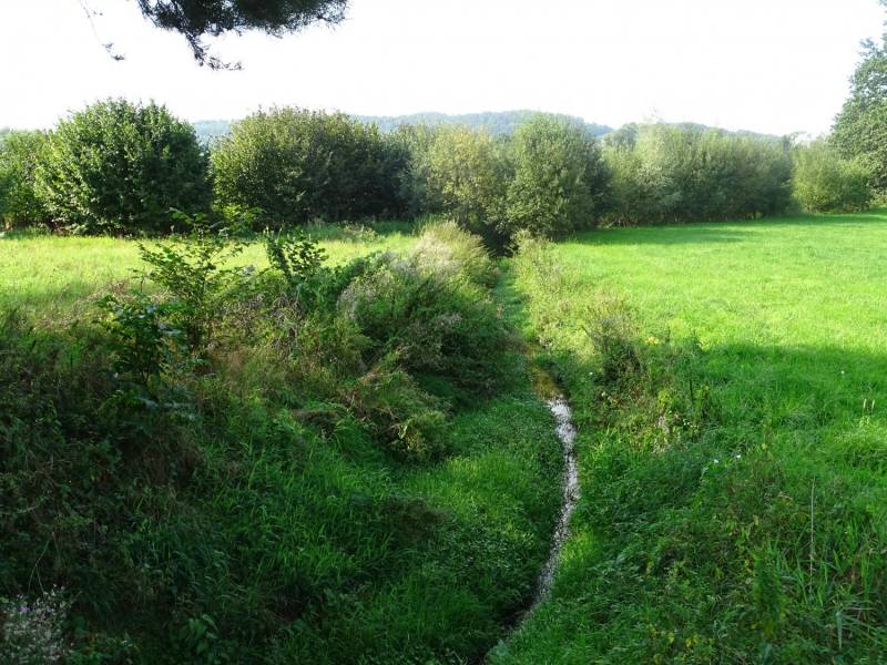 ox_klimatyczna-dzialka-w-kozakowicach-gornych