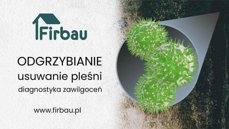 ox_odgrzybianie-scian-odgrzybianie-budynkow