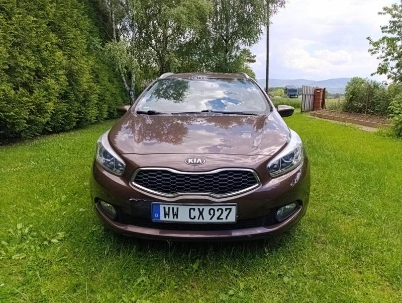 ox_kia-ceed-sprzedam