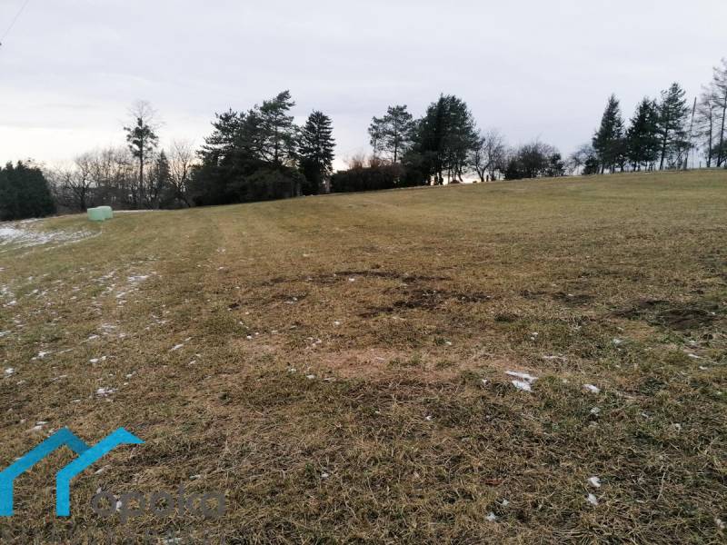 ox_dzialka-budowlana-goleszow-1013-m2-i-opoka-nieruchomosci