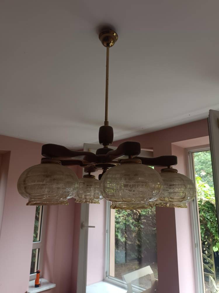 ox_lampa
