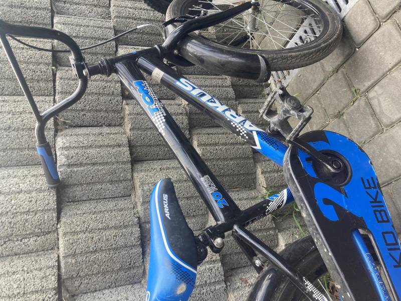 ox_rower-bmx