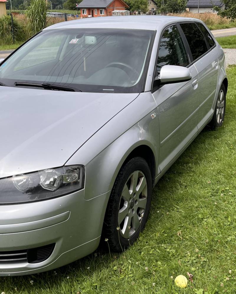 ox_audi-a3-8p-19-tdi