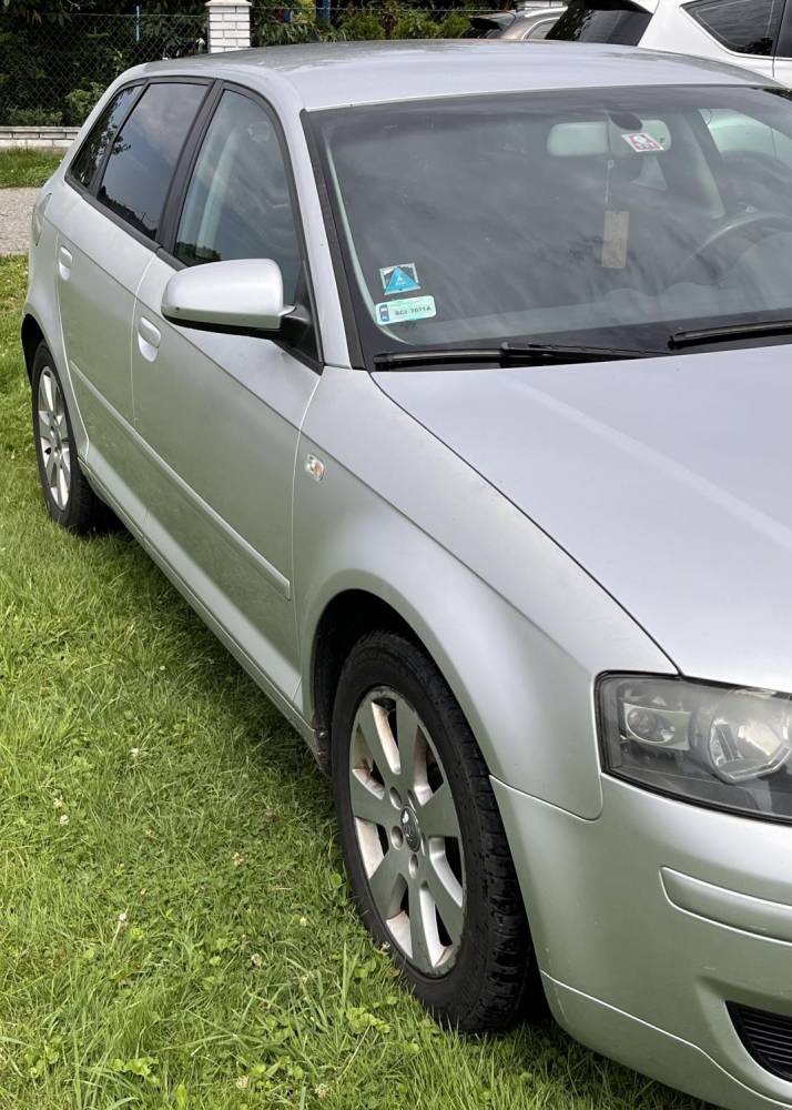 ox_audi-a3-8p-19-tdi