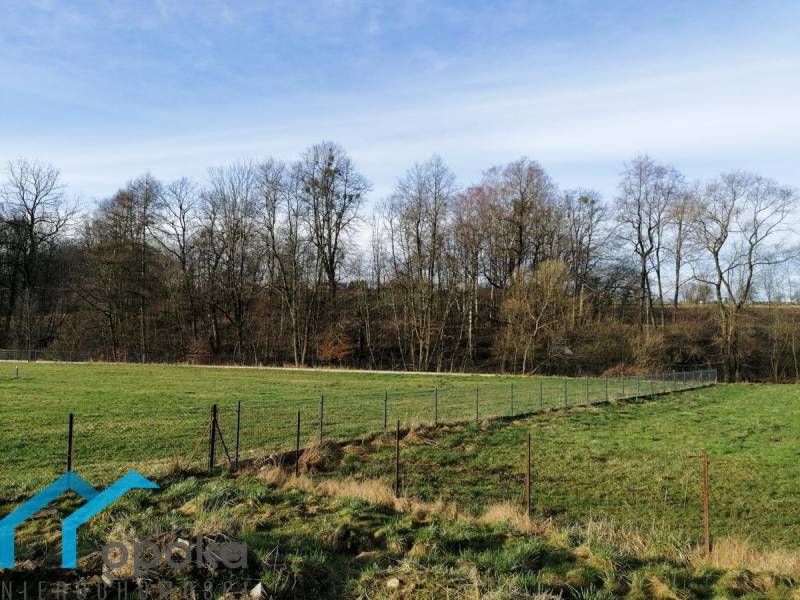 ox_dzialka-rekreacji-indywidualnej-2800-m2-i-opoka-nieruchomosci