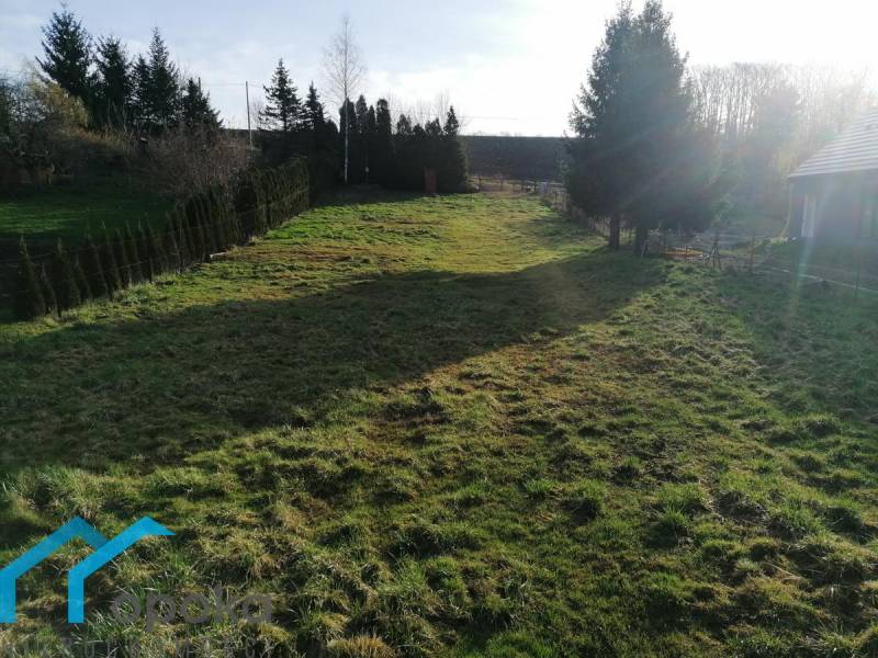 ox_dzialka-rekreacji-indywidualnej-2800-m2-i-opoka-nieruchomosci