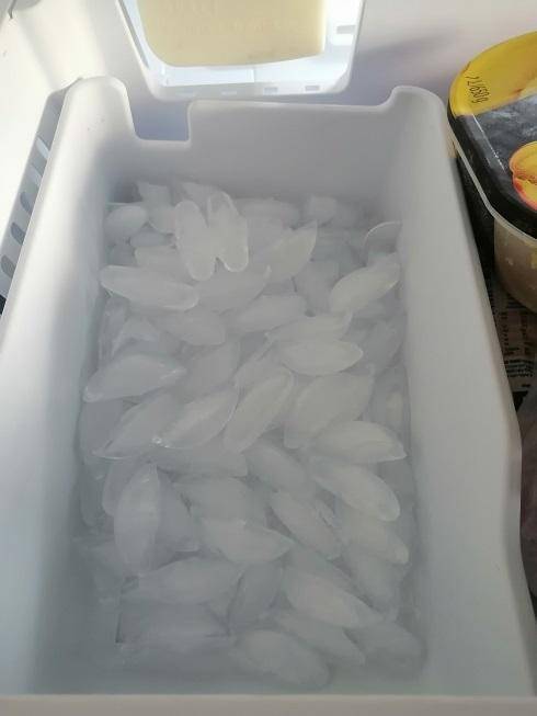 ox_lodowka-samsung-no-frost-rf62qers-z-kostkarka-do-lodu-sprawna