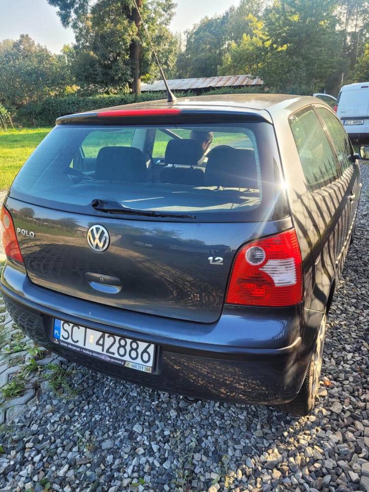 ox_volkswagen-polo