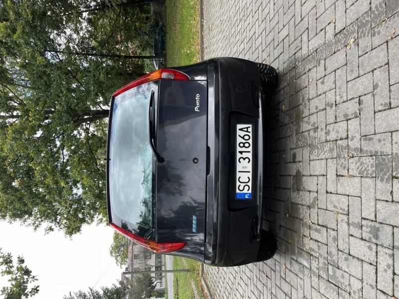 ox_fiat-punto