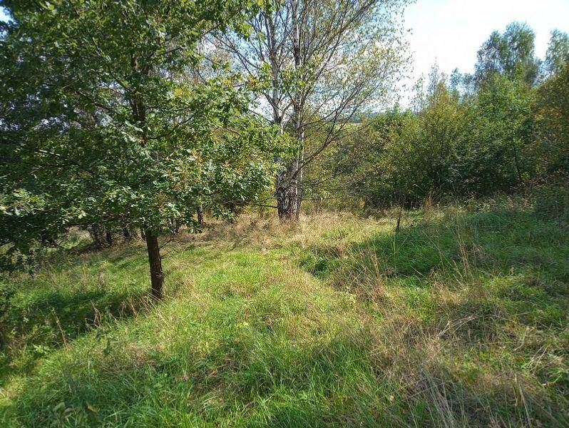 ox_duza-dzialka-budowlana-na-sprzedaz-w-rychwaldzie-powiat-zywiecki