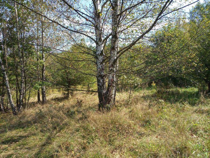 ox_duza-dzialka-budowlana-na-sprzedaz-w-rychwaldzie-powiat-zywiecki