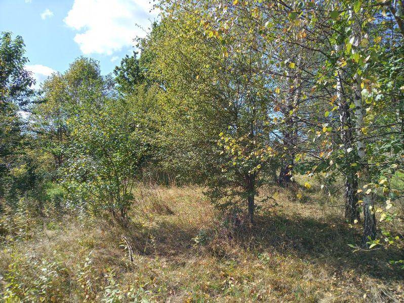 ox_duza-dzialka-budowlana-na-sprzedaz-w-rychwaldzie-powiat-zywiecki