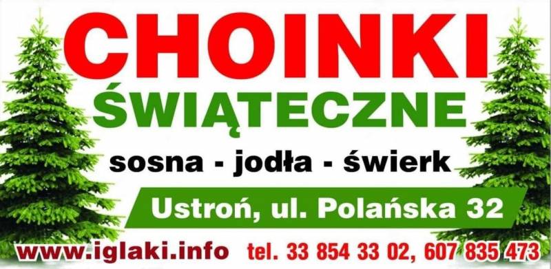 ox_choinki-swiateczne-z-wlasnej-plantacji-sosna-jodla-swierk