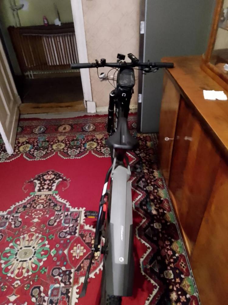 img-20241212-090723.jpeg