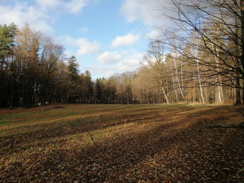 ox_ustron-lipowiec-dzialka-z-warunkami-zabudowy
