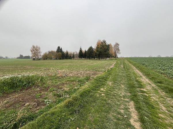 ox_ladne-dzialki-w-brzezowce-na-sprzedaz