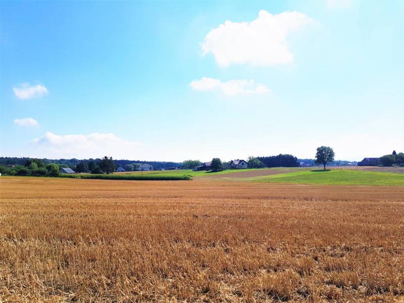 ox_rudnik-budowlano-rolna-36-a-piekne-widoki