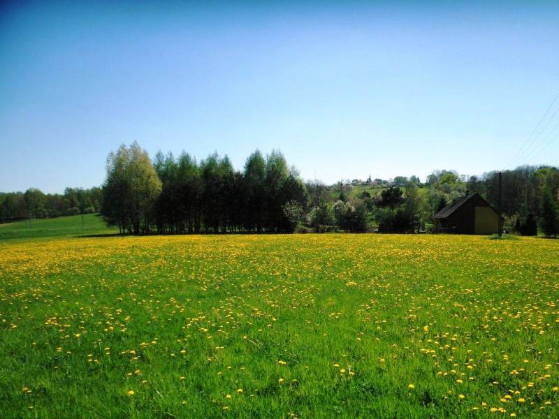 ox_dobra-lokata-kapitalu-ostatnia-dzialka-prywatnie