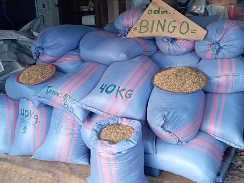 ox_owies-siewny-i-inne-przezn-bingo-zbior-2024-r-2-tony-pak-po-40-kg