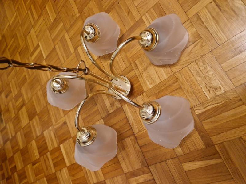 ox_lampa