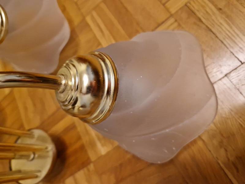 ox_lampa
