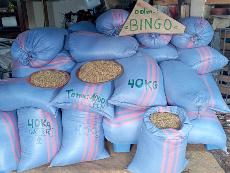 ox_owies-siewny-bingo-1-szy-odsiew-ziemniaki-sadzeniaki-odm-queen-anna