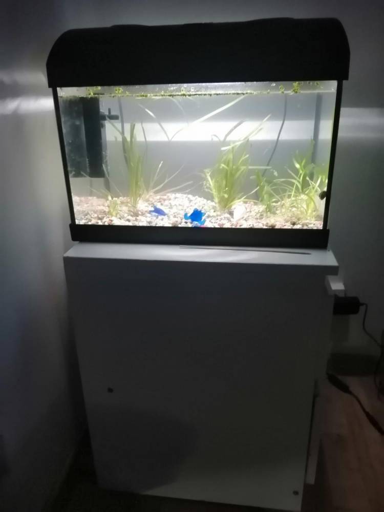 ox_akwarium-30l