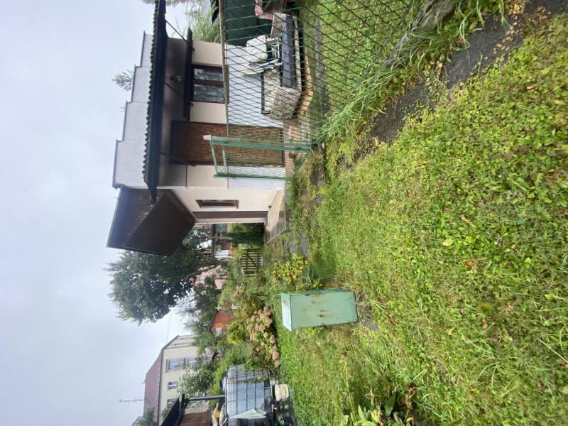 ox_dzialka-rod-tulipan