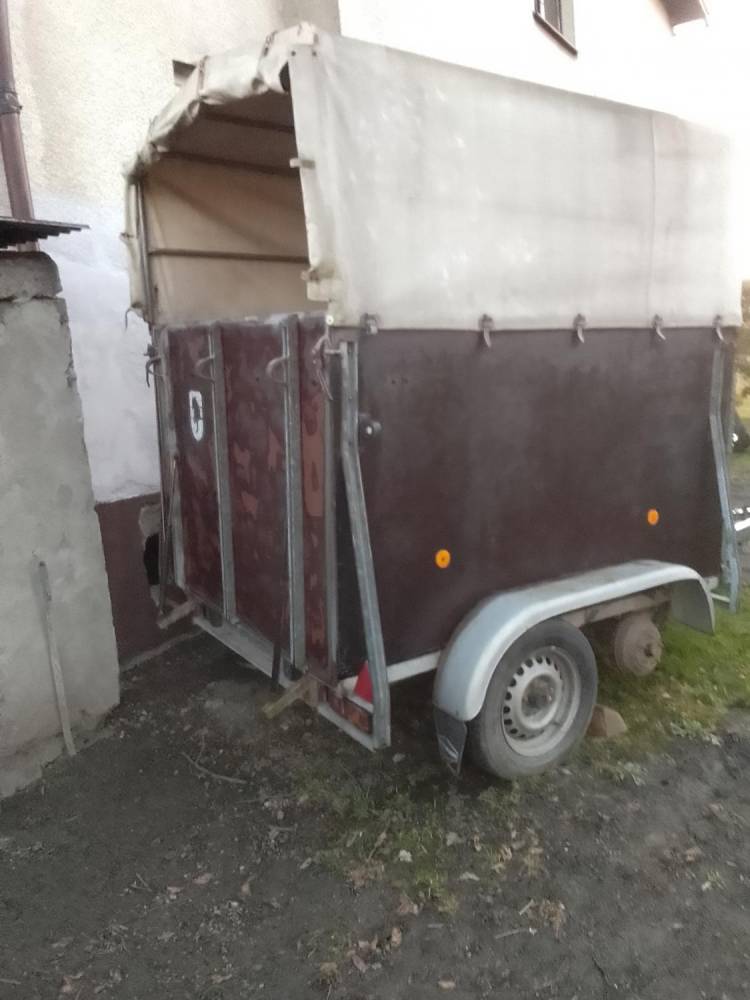 ox_przyczepa-do-przewozu-koni