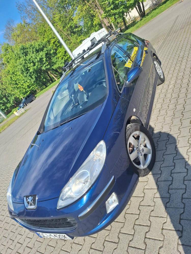 ox_peugeot-407-benzyna
